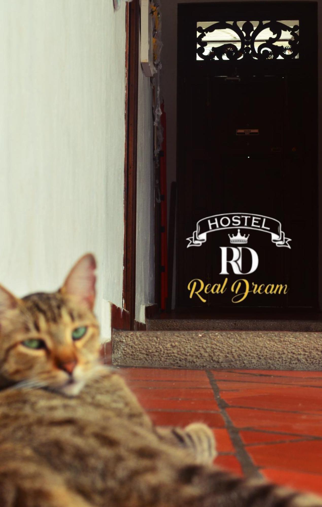 Real Dream Hostel サン・ヒル エクステリア 写真